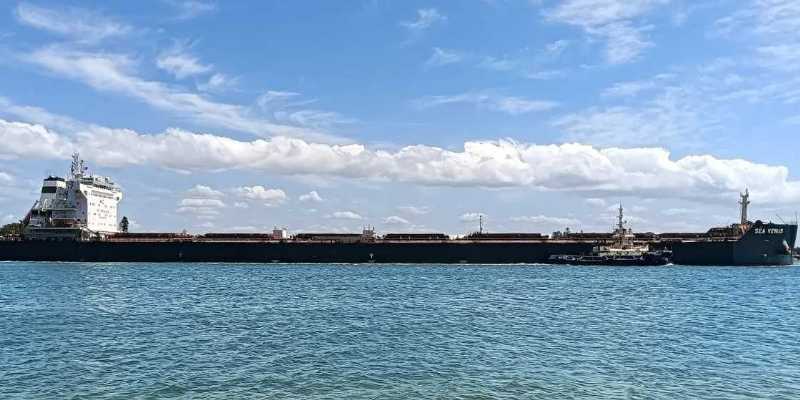 M/V VENUS STAR&nbsp;