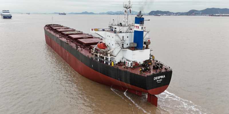 M/V DESPINA 