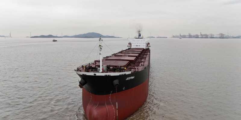 M/V DESPINA 